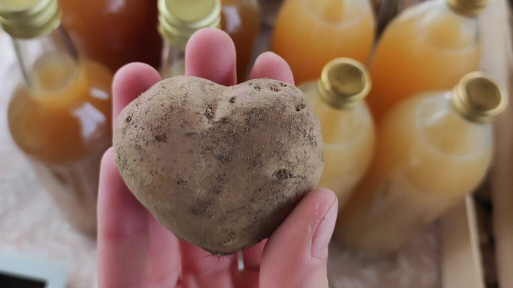 pomme de terre cœur