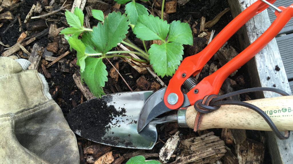 entretenir son jardin