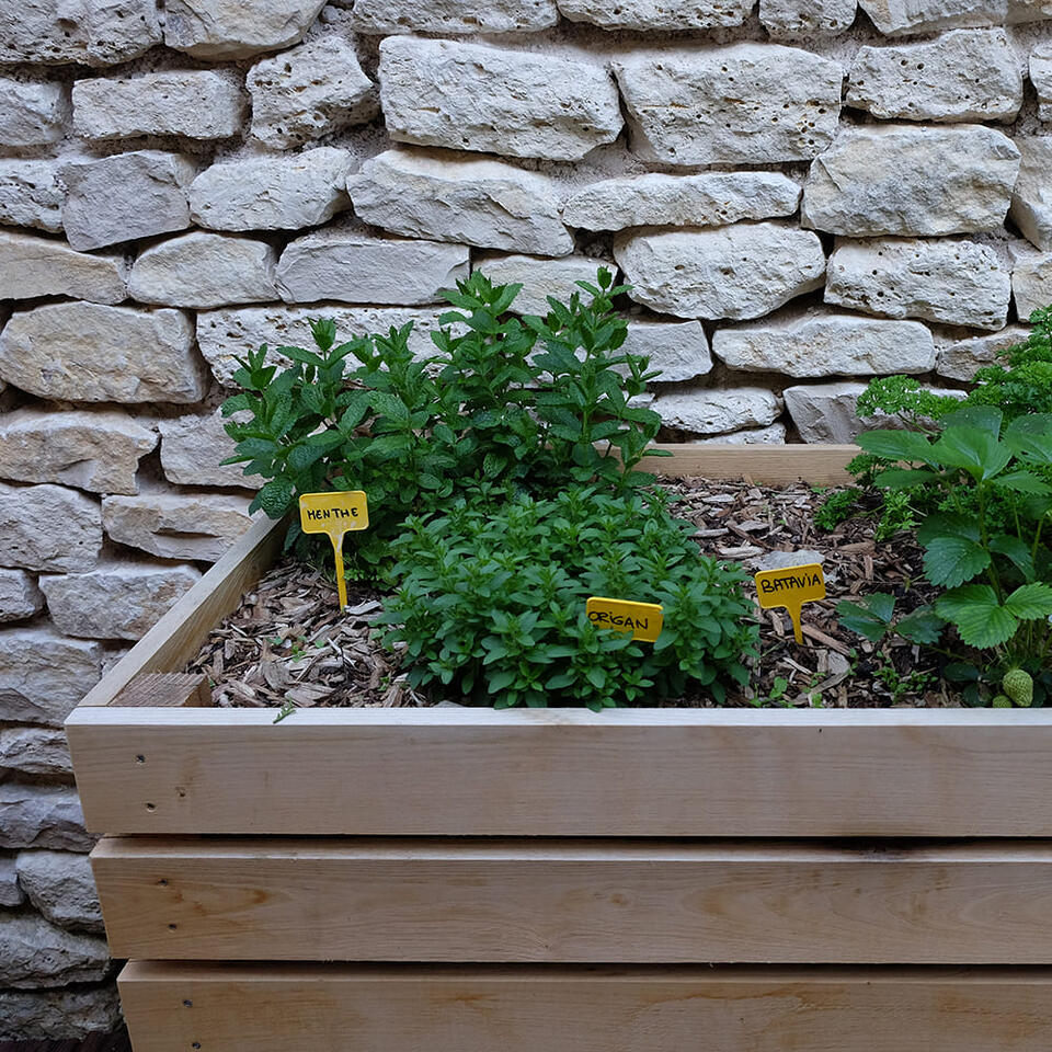 jardinière en bois avec aromates