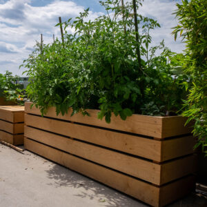 jardinière rectangulaire en bois