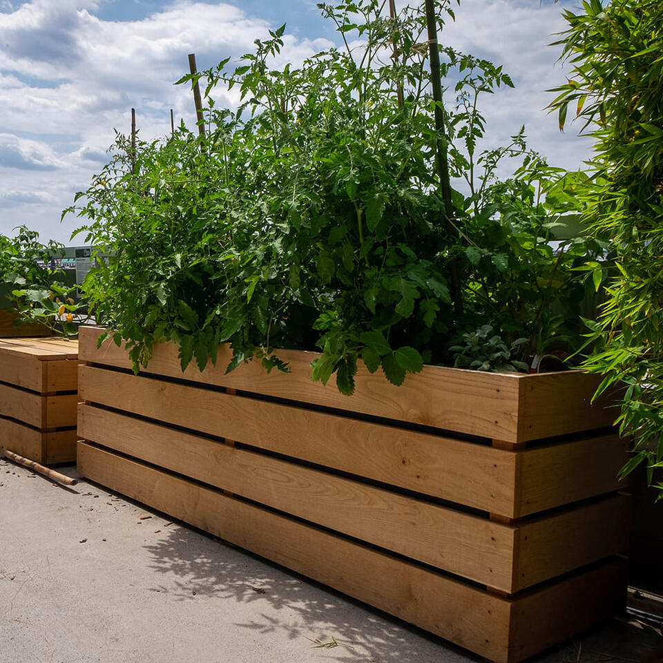 jardinière rectangulaire en bois