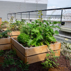 jardinière carrée en bois