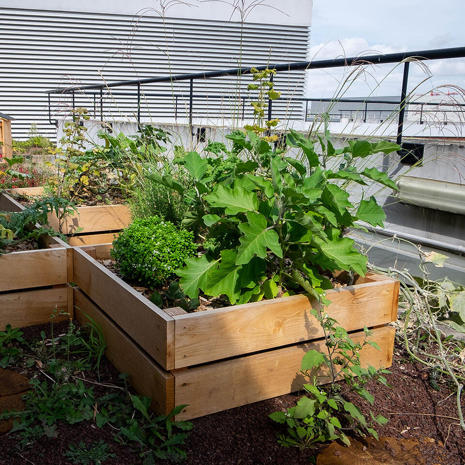 jardinière carrée en bois