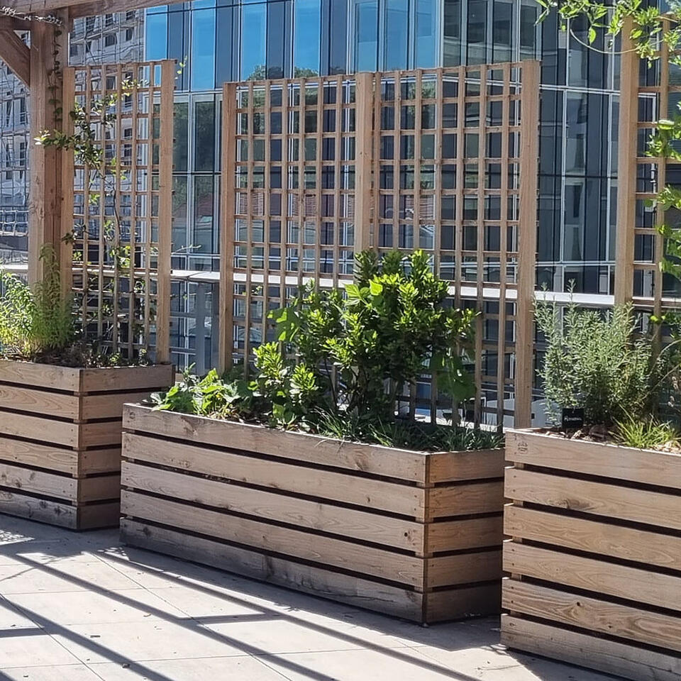 jardinière rectangulaire en bois avec treillis