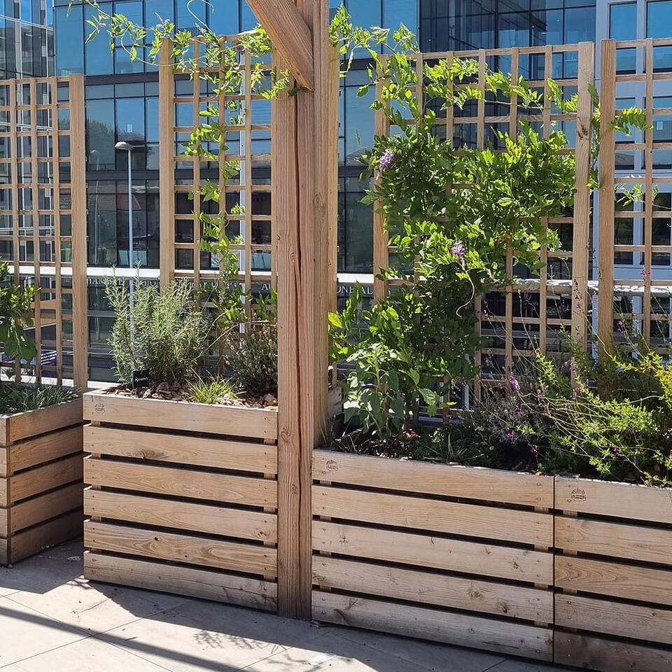 jardinière carrée en bois avec treillis
