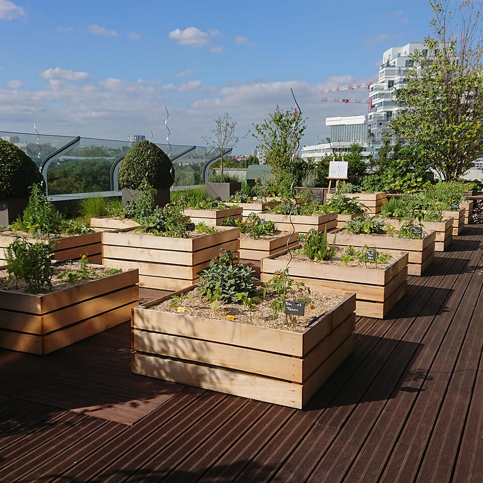 jardinières carrées en bois sur terrasse