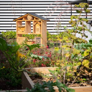 nichoir et hôtel à insectes en bois
