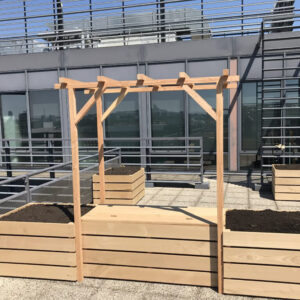 pergola en bois