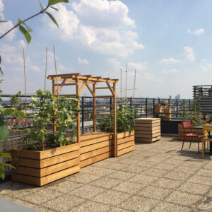 pergola en bois terrasse