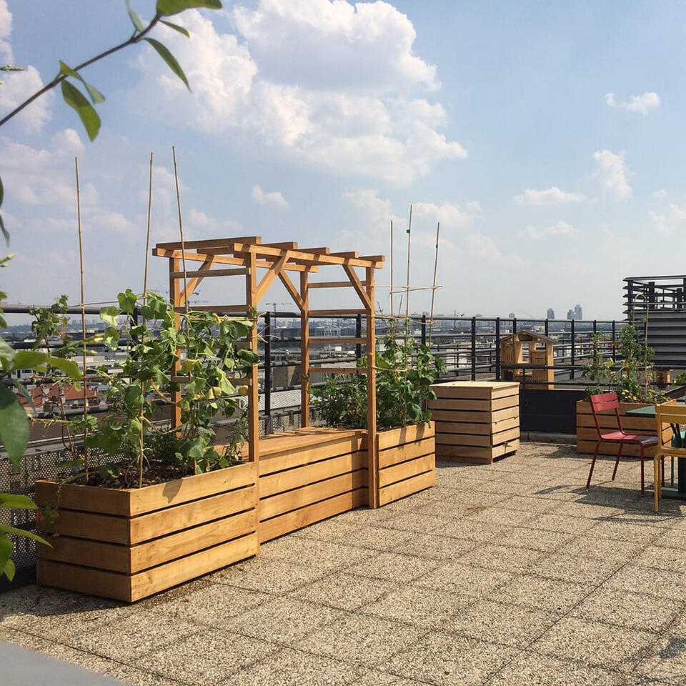 pergola en bois terrasse