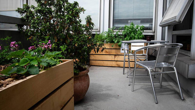 Jardinières en bois sur terrasse