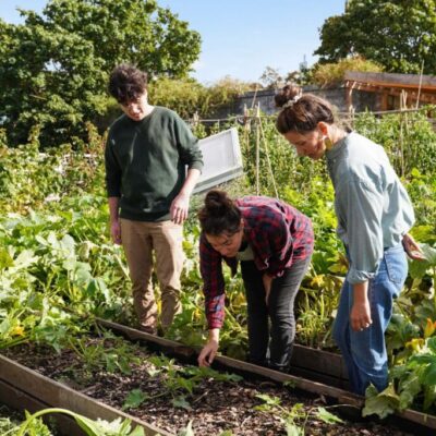 entretien jardin au printemps