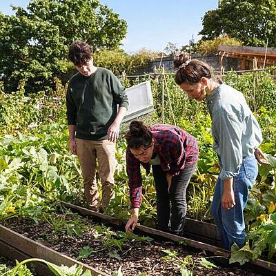 entretien jardin au printemps