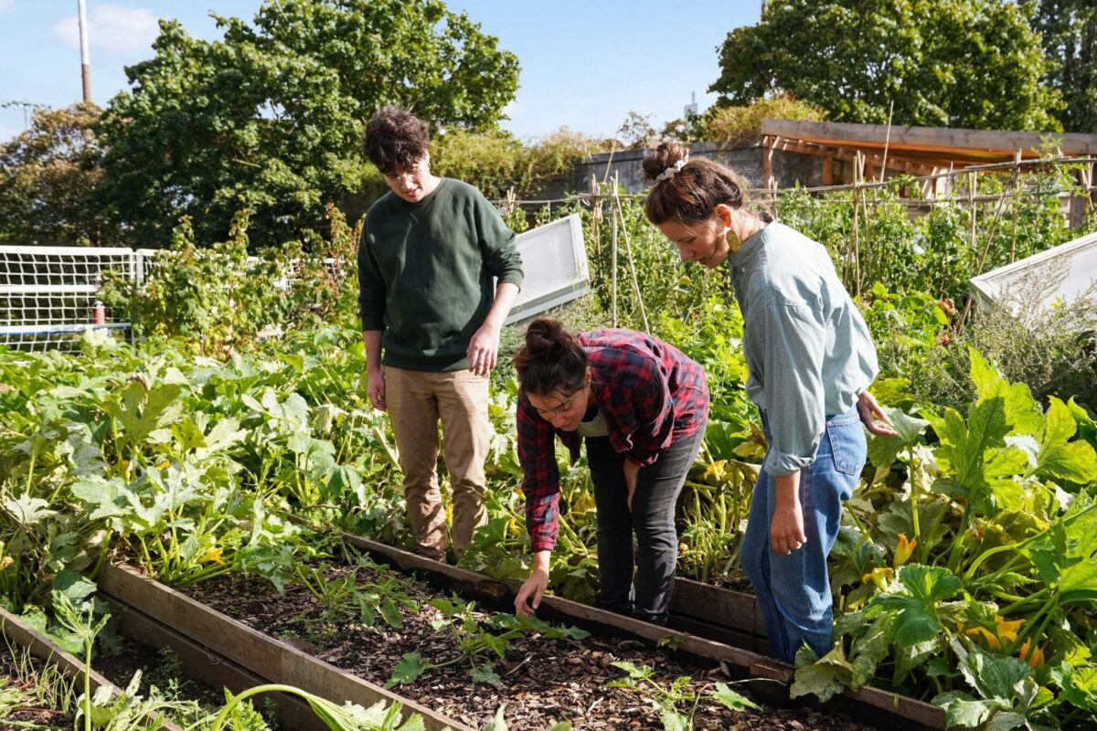 entretien jardin au printemps
