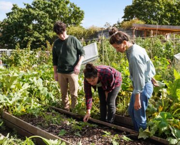 entretien jardin au printemps