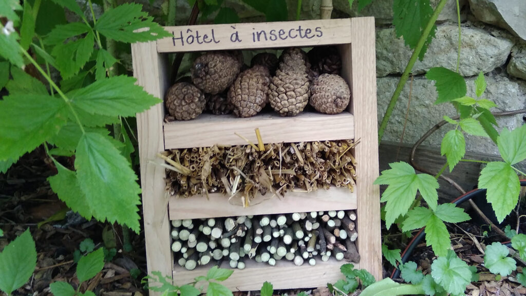 hôtel à insectes