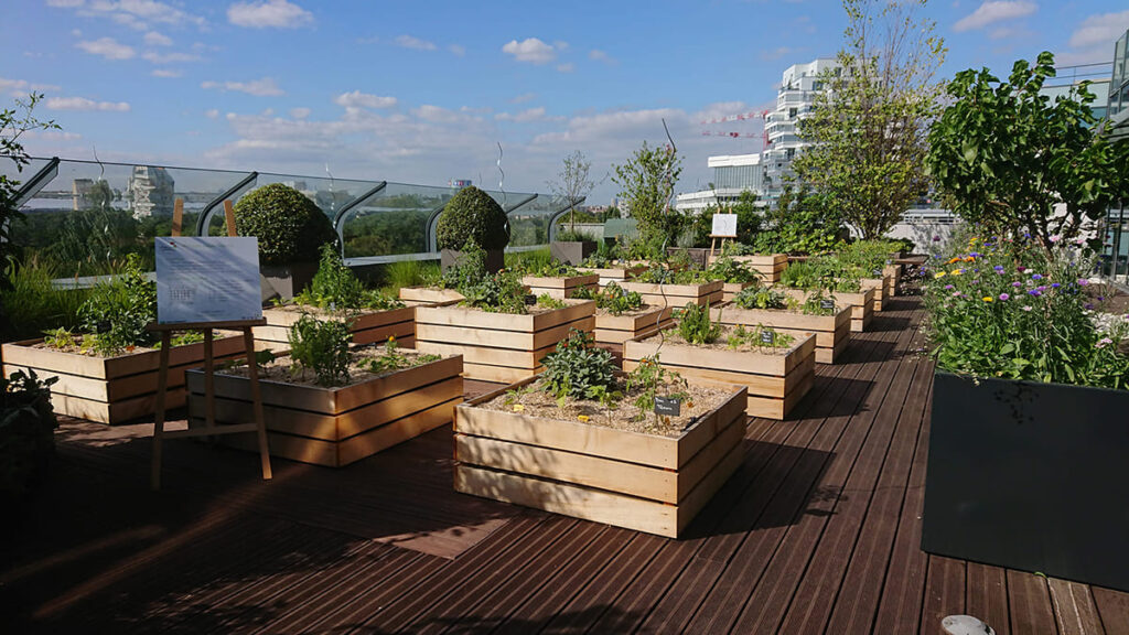 jardinières en bois sur toit urbain