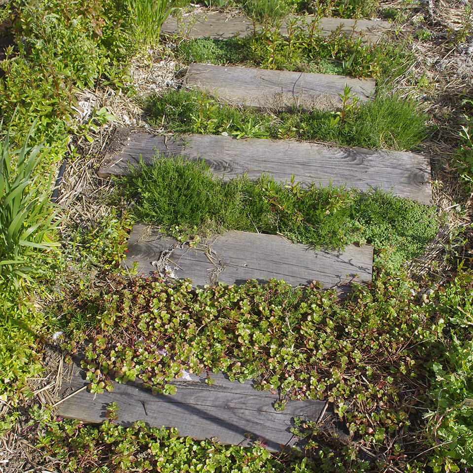 traverses en bois